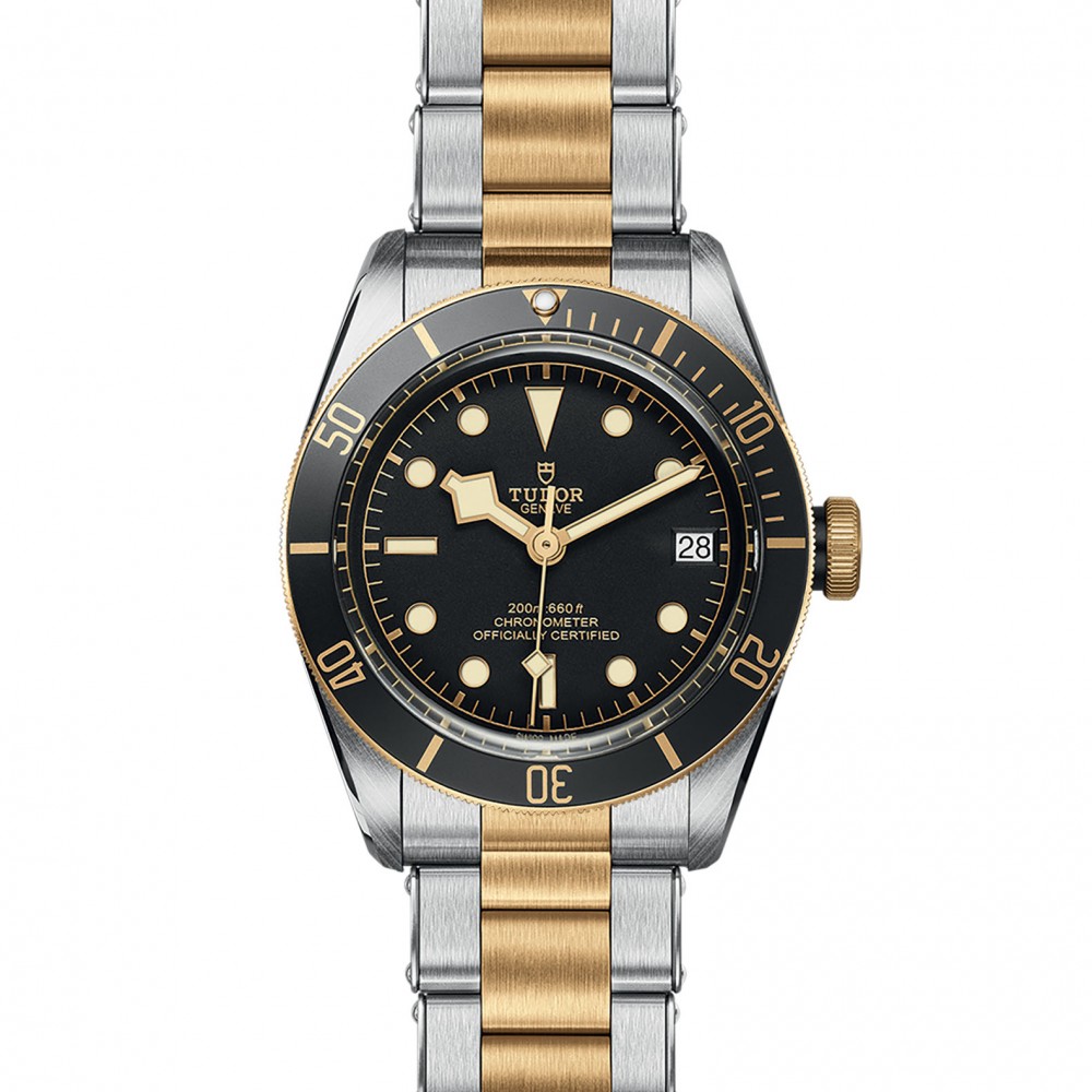 TUDOR Black Bay Watch - M79733N-0008 at Floyd & Green Fine Jewelers
