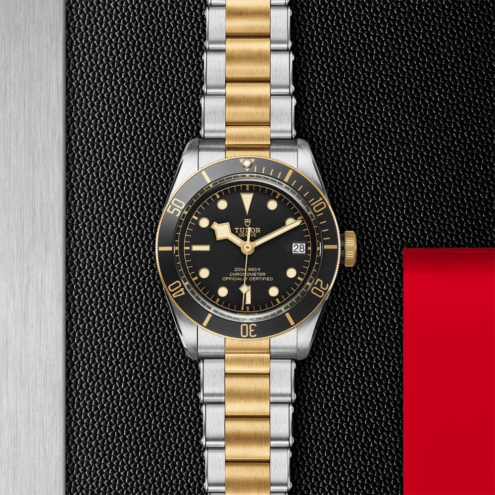 TUDOR Black Bay Watch - M79733N-0008 at Floyd & Green Fine Jewelers
