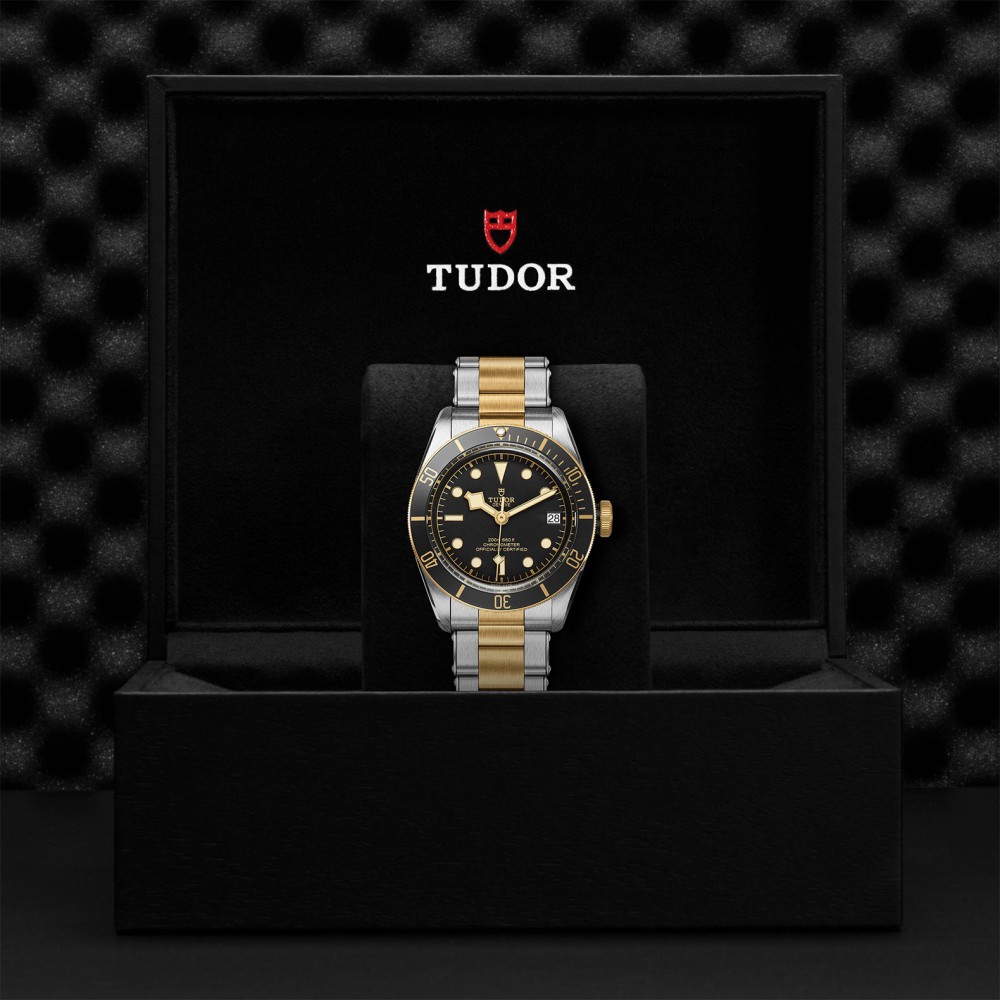 TUDOR Black Bay Watch - M79733N-0008 at Floyd & Green Fine Jewelers