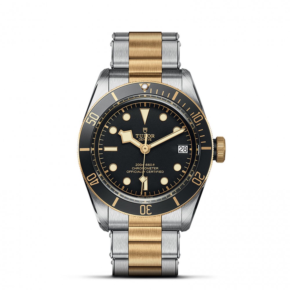 TUDOR Black Bay Watch - M79733N-0008 at Floyd & Green Fine Jewelers